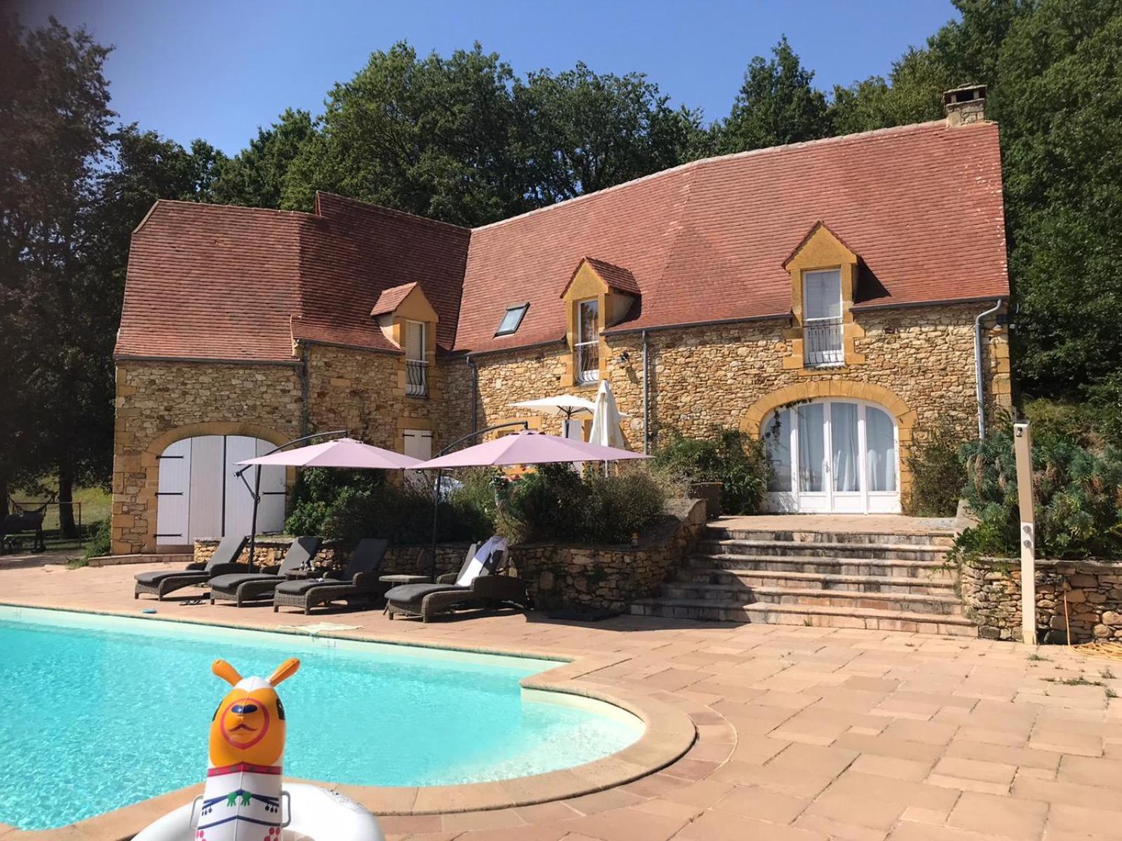 Luxury Chateau w. pool&hot tub in Dordogne Beynac-et-Cazenac Zewnętrze zdjęcie